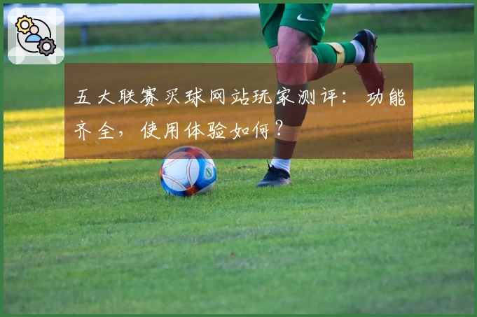 五大联赛买球网站玩家测评：功能齐全，使用体验如何？