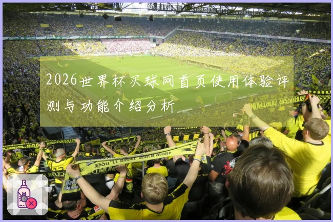 2026世界杯买球网首页使用体验评测与功能介绍分析