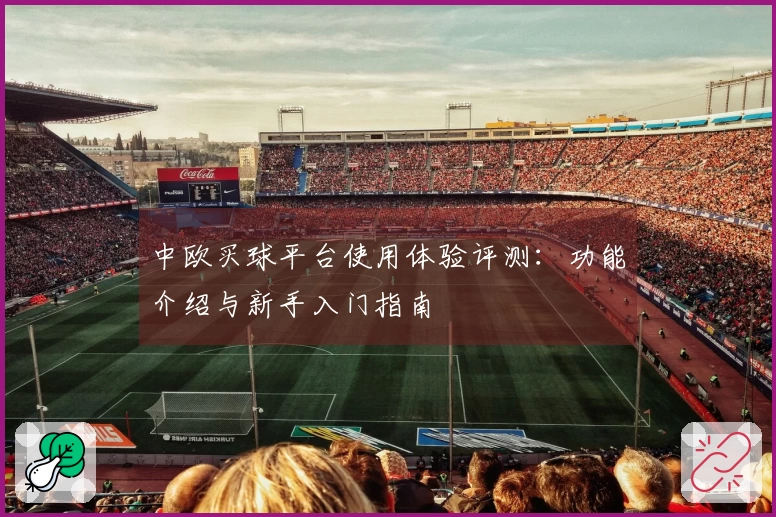 中欧买球平台使用体验评测：功能介绍与新手入门指南